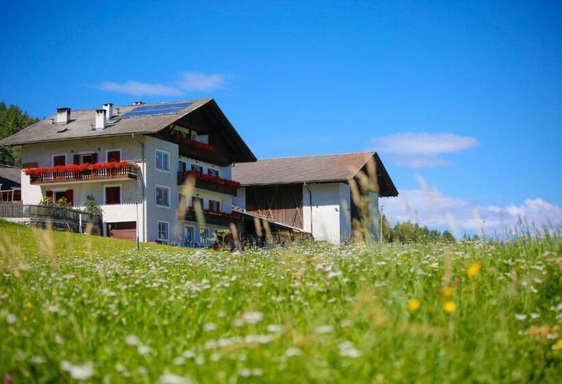ホテル Bauernhof Mairing