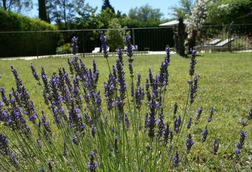 פנסיון Côté Provence