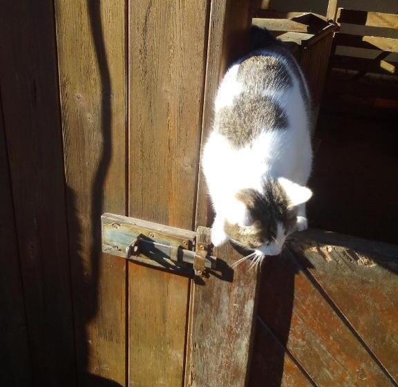 پانسیون Haus Jost Ingrid