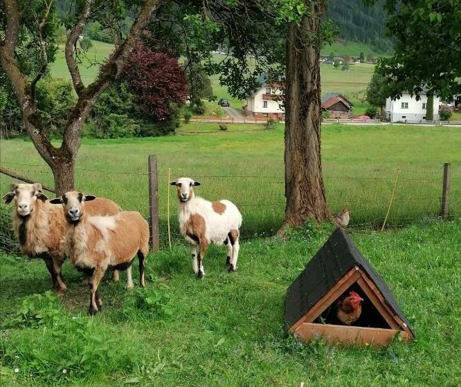 بنسيون Lasserhof