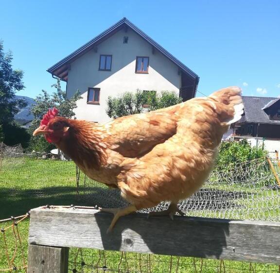 بنسيون Lasserhof