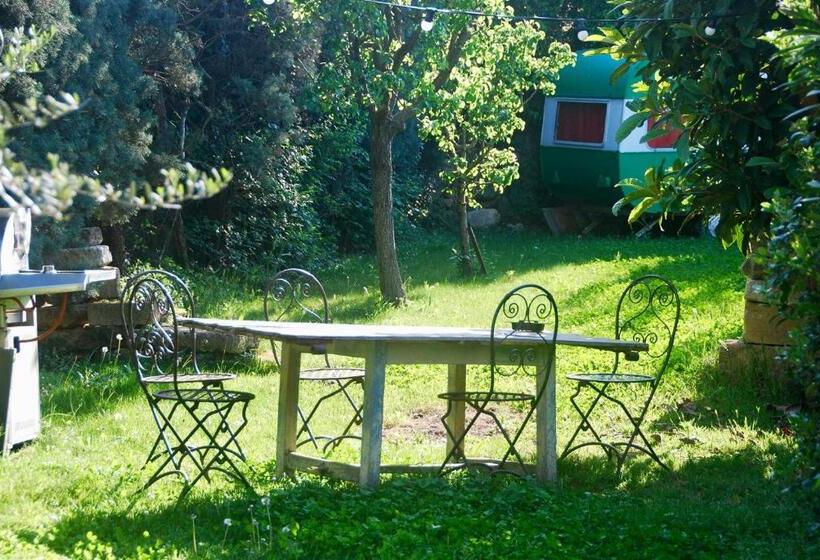 פנסיון Les Volets Bleus Provence