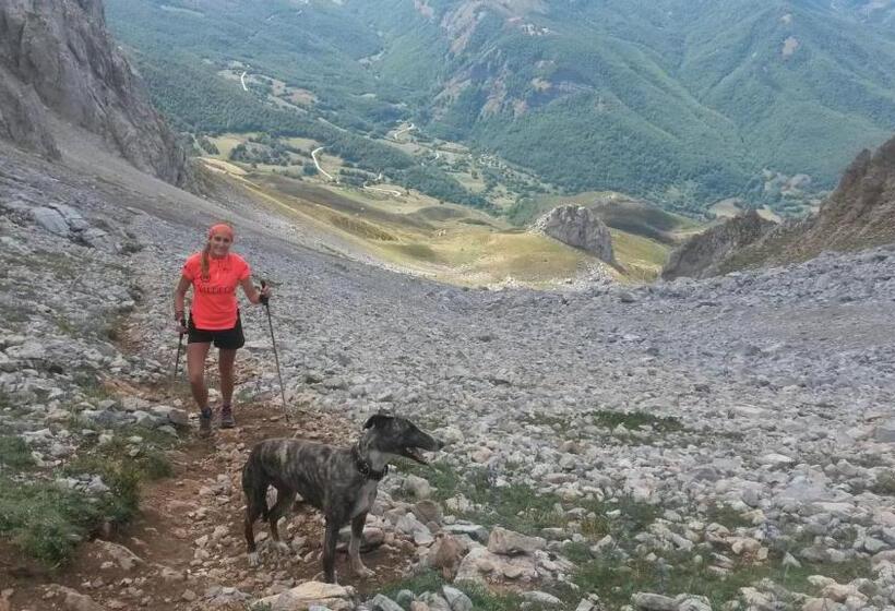 هاستل Refugio La Ardilla Real