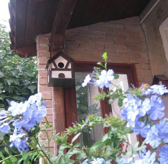 민박 A Casa Della Zia