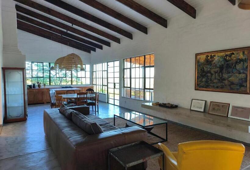 住宿加早餐  Eloff Guest House And Gallery