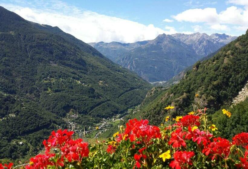 بنسيون Le Petit Coeur