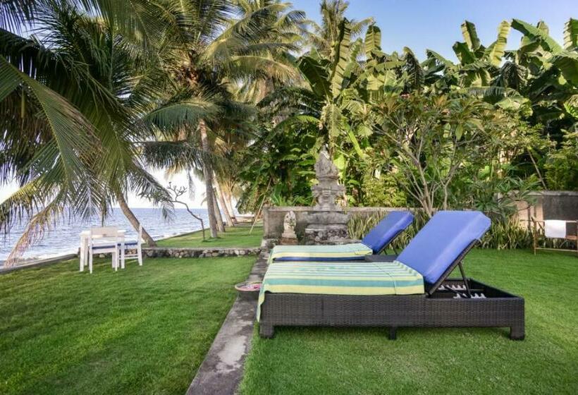 ペンション Mojito Beach Villas