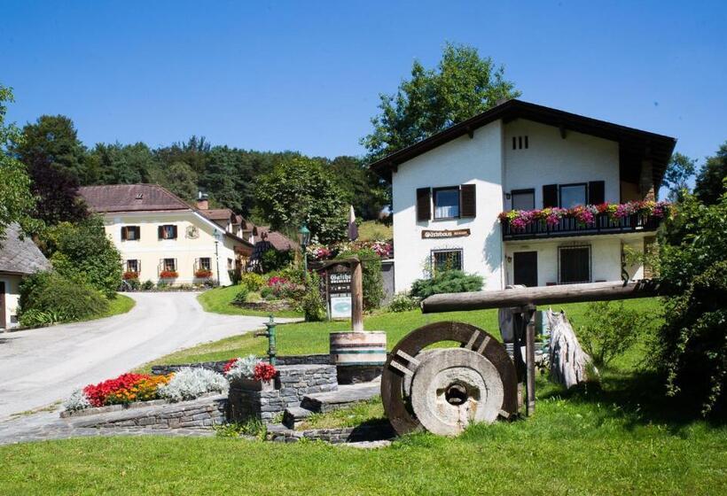 호스텔 Gästezimmer Buchegger