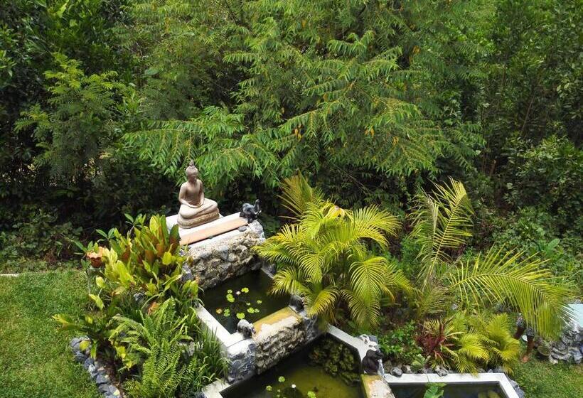 Hospedaria Nananuira Apartment And Room