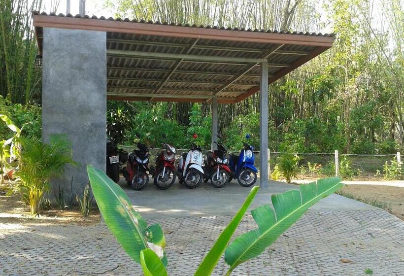 Hospedaria Nananuira Apartment And Room