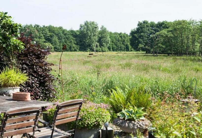 Bed and Breakfast De Wiede Blik
