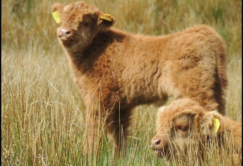 住宿加早餐  Garrison Of Inversnaid Farm With Hot Tub