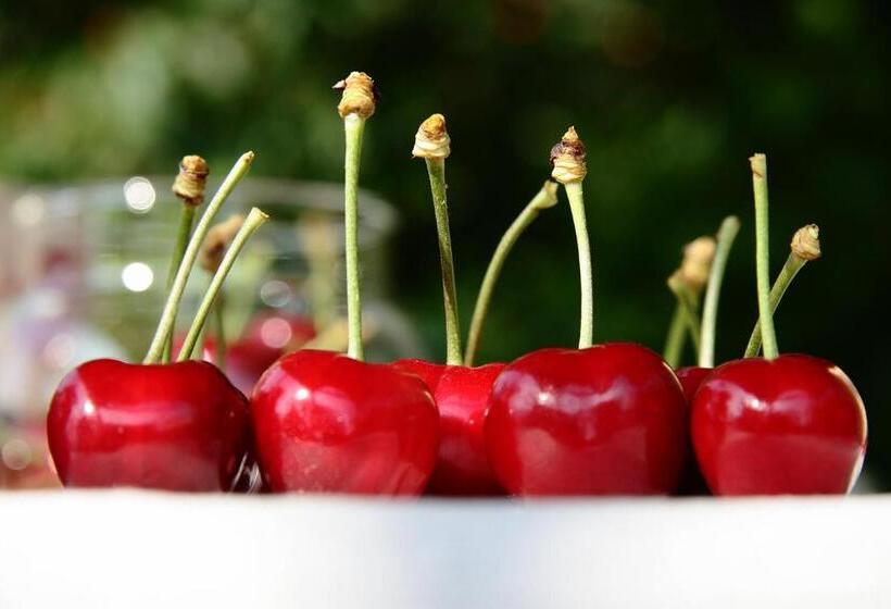 مبيت وإفطار I Calleri Garden And Rooms