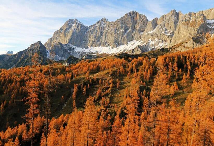 تختخواب و صبحانه Pension Adlerhorst