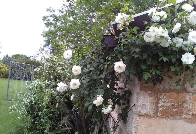 بنسيون Casetta Vacanza In Campagna