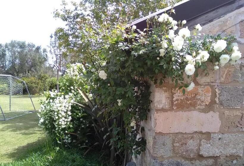 بنسيون Casetta Vacanza In Campagna