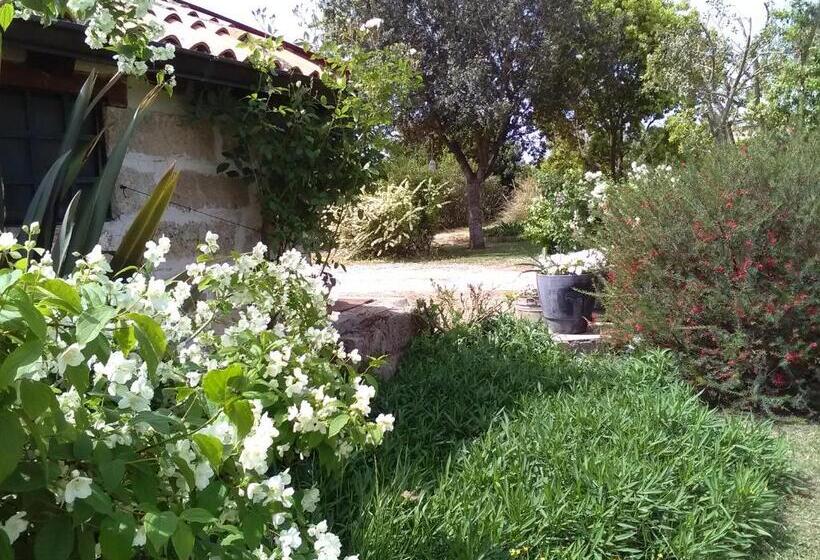 بنسيون Casetta Vacanza In Campagna