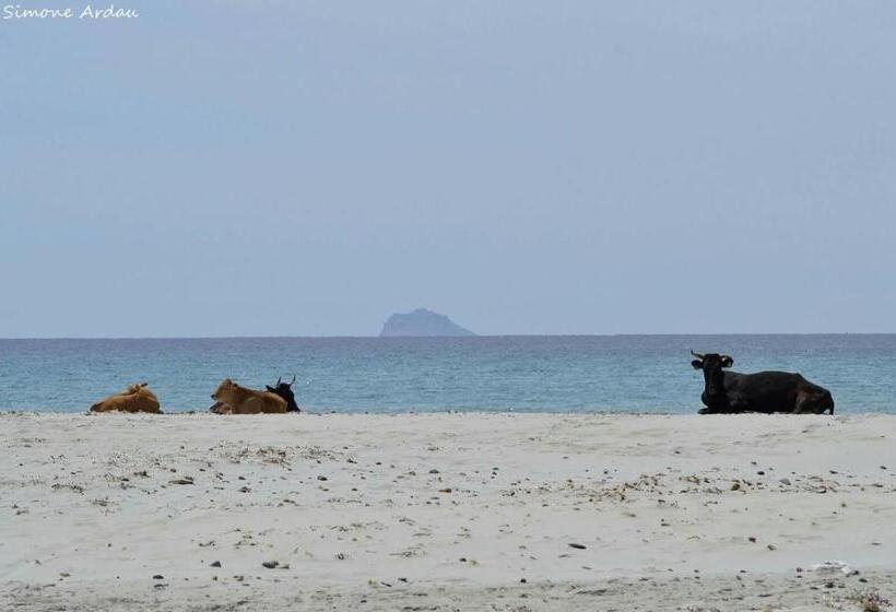 민박 Agriturismo Is Solinas