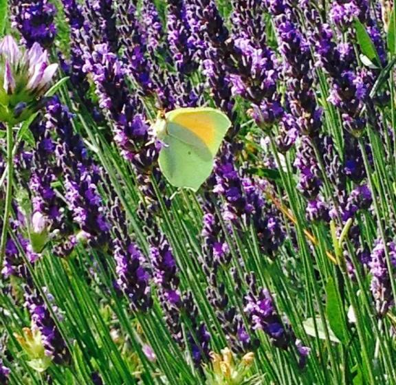 بنسيون Gites Du Raby