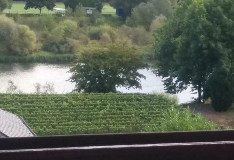 ペンション Gästehaus Weingut Michael Scholer