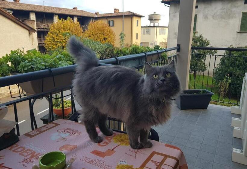 مبيت وإفطار Affittacamere Erbagatta