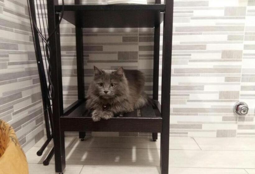 مبيت وإفطار Affittacamere Erbagatta