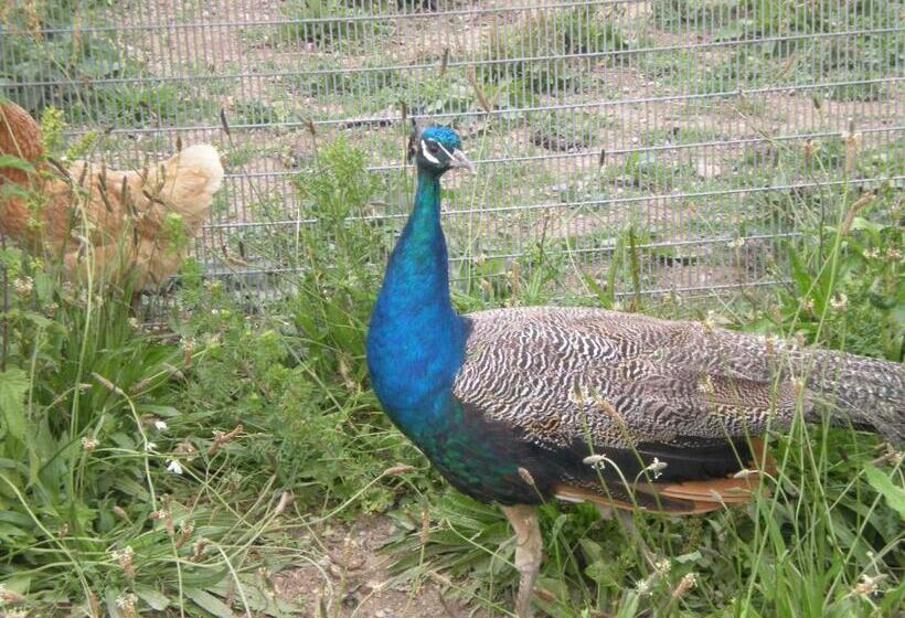 צימר Domaine De Kerbillec