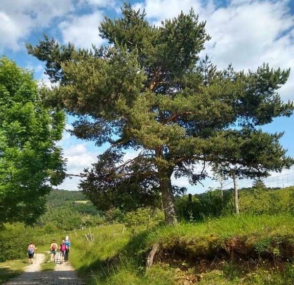 住宿加早餐  Mas De La Boheme   L Hermet