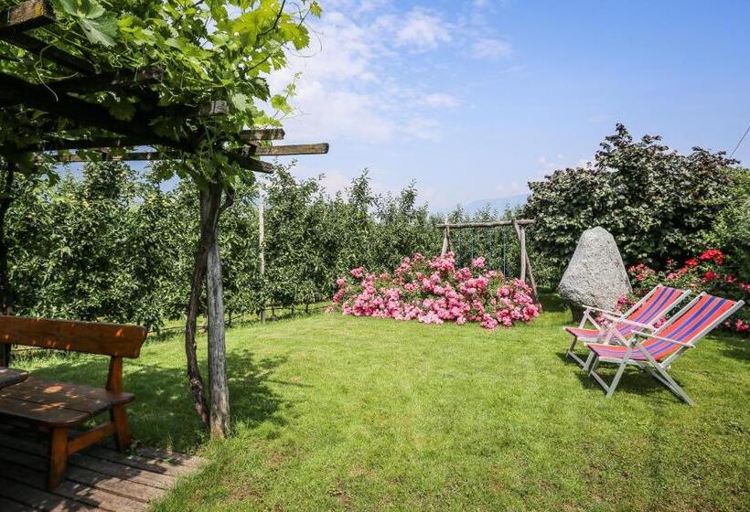 تختخواب و صبحانه Appartements Weisshauserhof