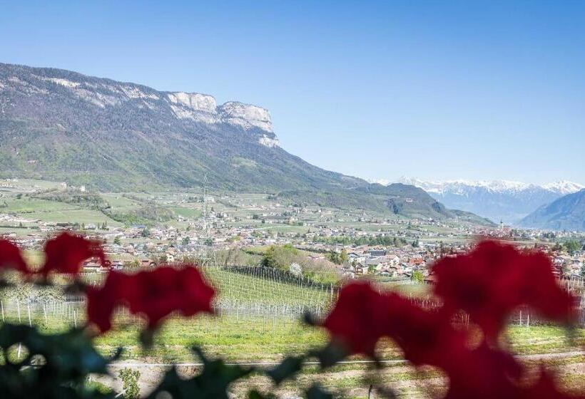 تختخواب و صبحانه Appartements Weisshauserhof