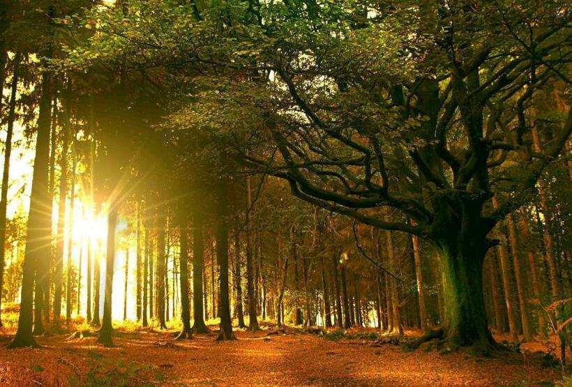 住宿加早餐  Kerarz   Chambre D Hôtes