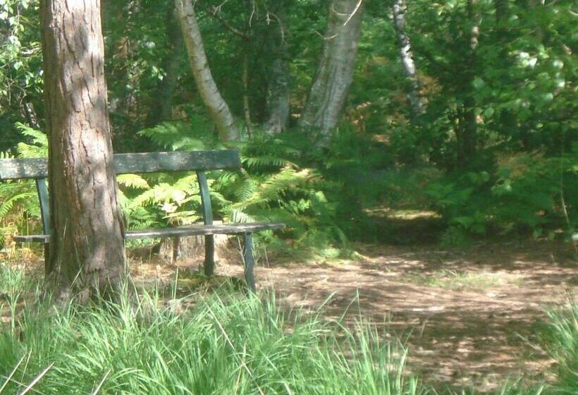 مبيت وإفطار Les Prémices De La Forêt
