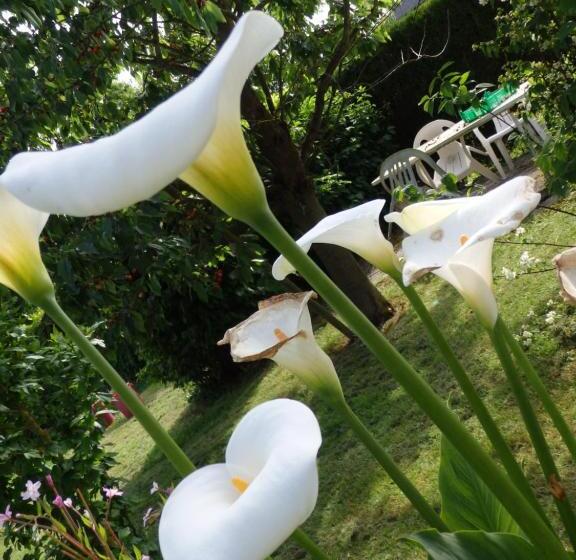 ベッドアンドブレックファースト Les Trois Pommiers