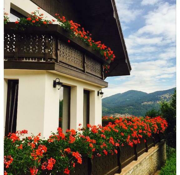 Pensiunea Drumul Plutasilor