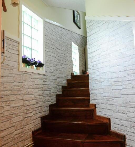 بنسيون Vila Horia Bradet