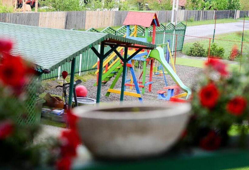 بنسيون Vila Horia Bradet