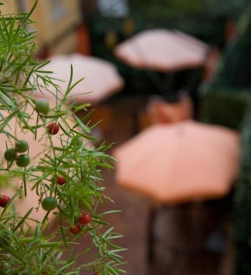 تختخواب و صبحانه Sweet Dream Trevi