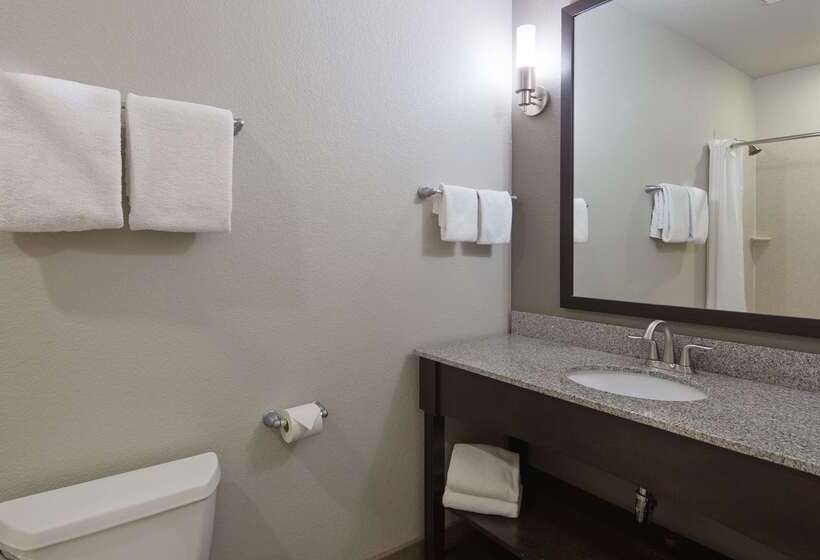 ホテル Best Western Plus Austin Airport Inn & Suites