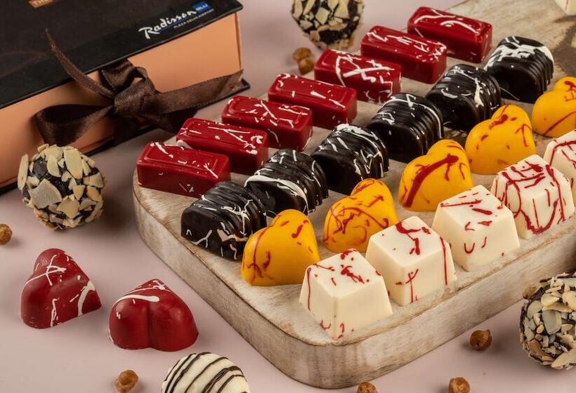 فندق Radisson  Gurugram Sohna Road City Center