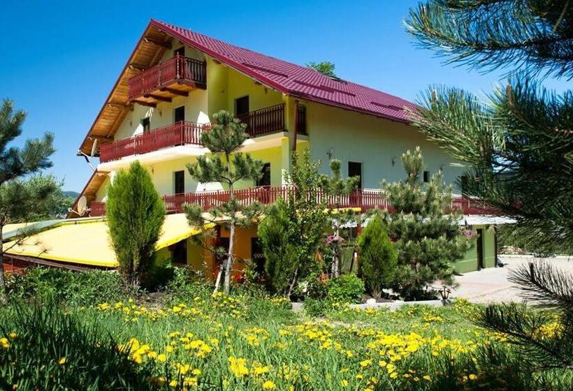 پانسیون Grandemi Belvedere Bucovina