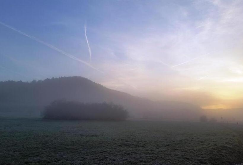 بنسيون Luisenhof