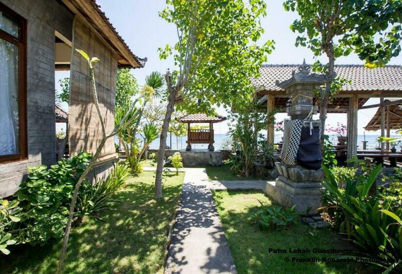 膳宿费 Putra Lebah Amed Guest House