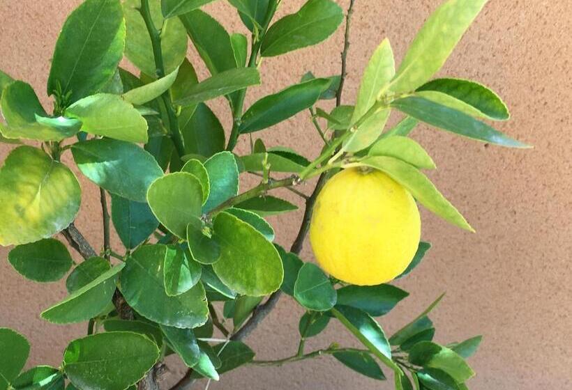 مبيت وإفطار Les Lavandes
