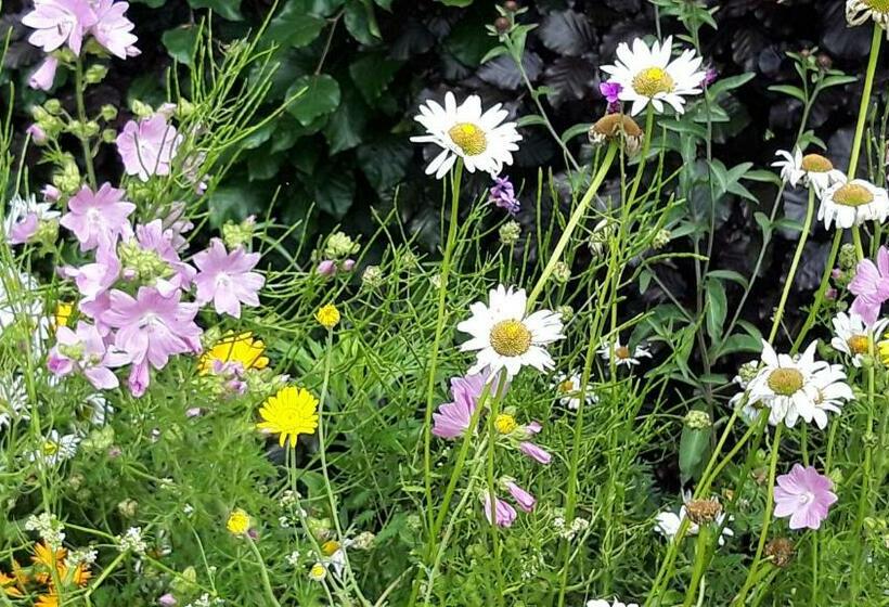 B&b Veluwemeerpension