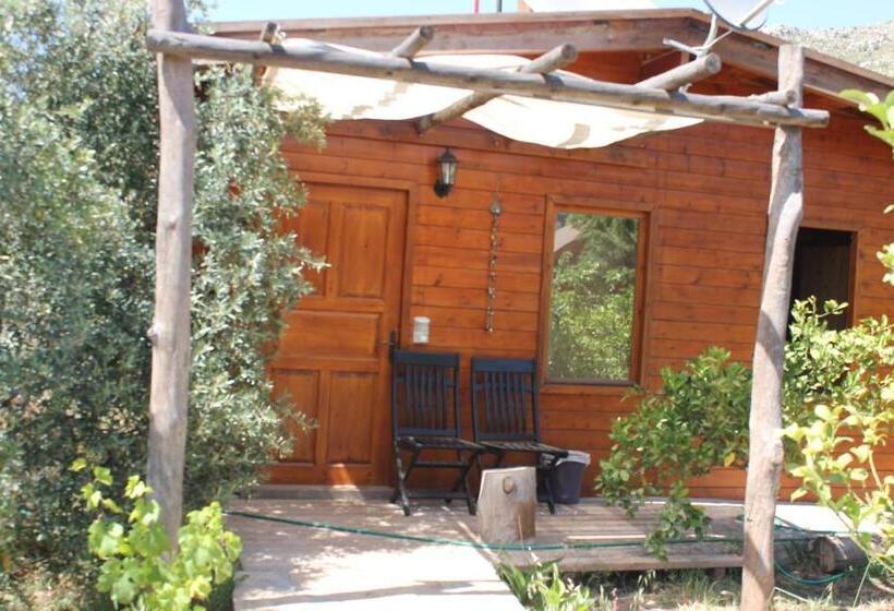 住宿加早餐  Sakin Vadi Winehouse