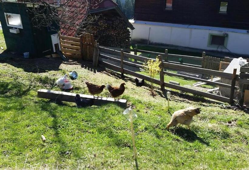 호텔 Stockreiter Vulgo Grillschmied