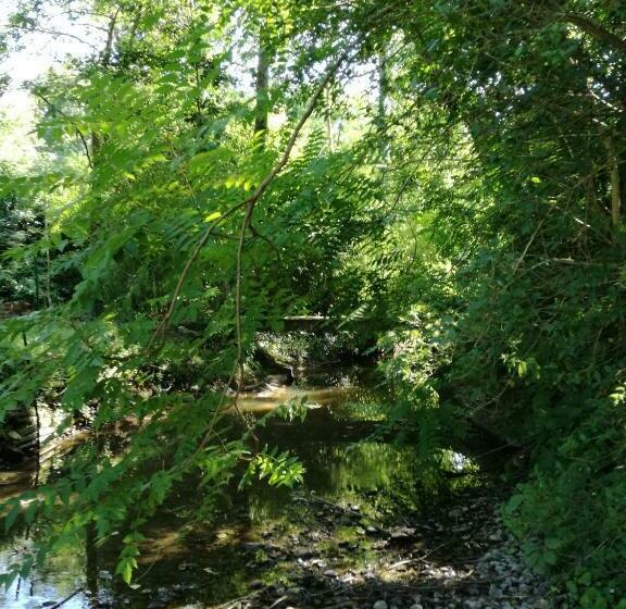 住宿加早餐  Le Moulin Du Galant