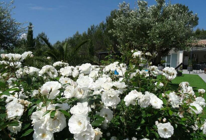 L Olivadou B&b