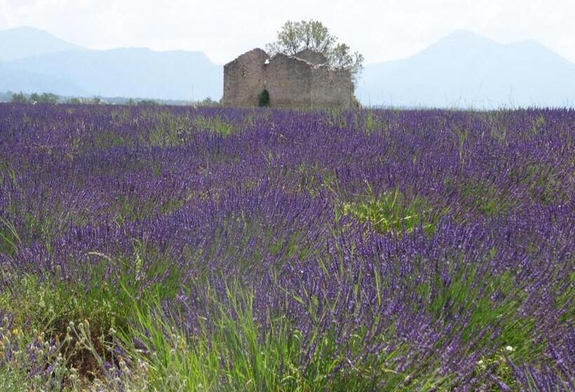 L Olivadou B&b