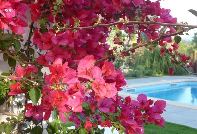 L Olivadou B&b